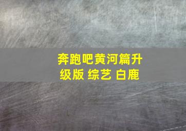 奔跑吧黄河篇升级版 综艺 白鹿